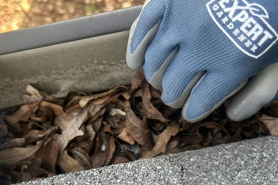 Gutter Cleaning Palmerton