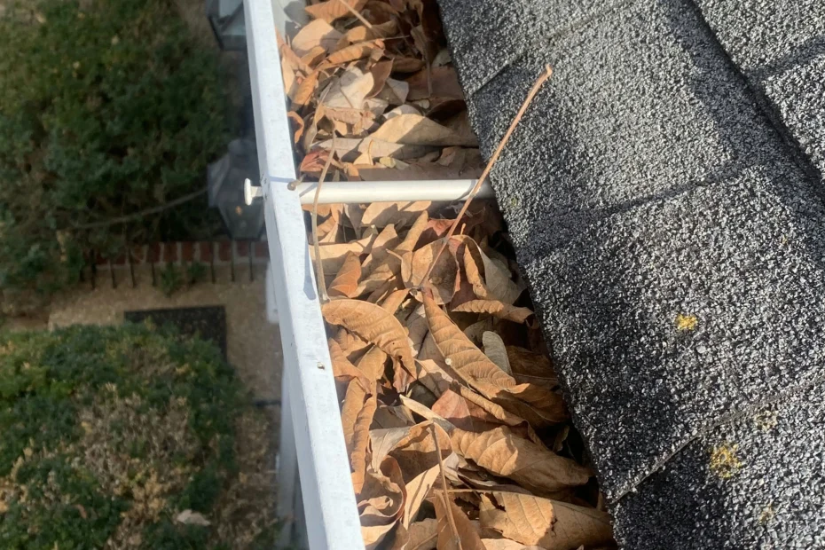 Gutter Cleaning Palmerton