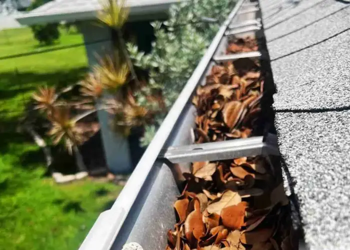 Palmerton gutter cleaning home page